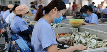 7月24日,在郑州公交总公司结算中心点钞部里,工作人员正在点钞